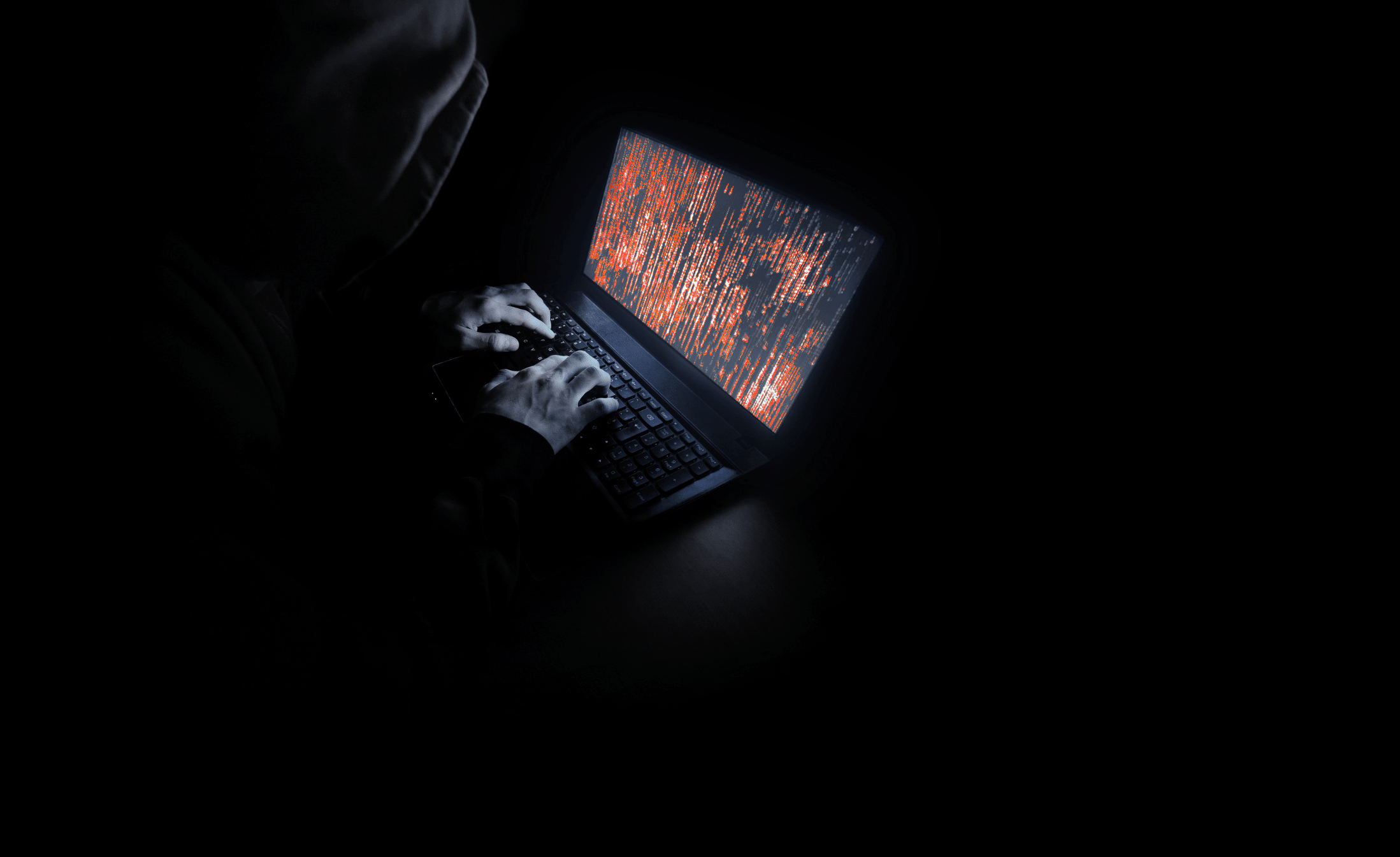 4 » admin by request A hacker in a hoodie using their laptop. » admin by request